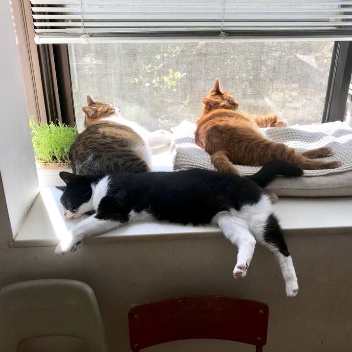 41f1b2f5 ac13 4232 9a77 7232a8c289ed 1522306241154