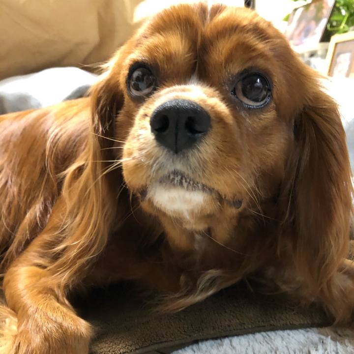 41f1bdbb f256 4433 98ba da853ecba0b1 1585055679113