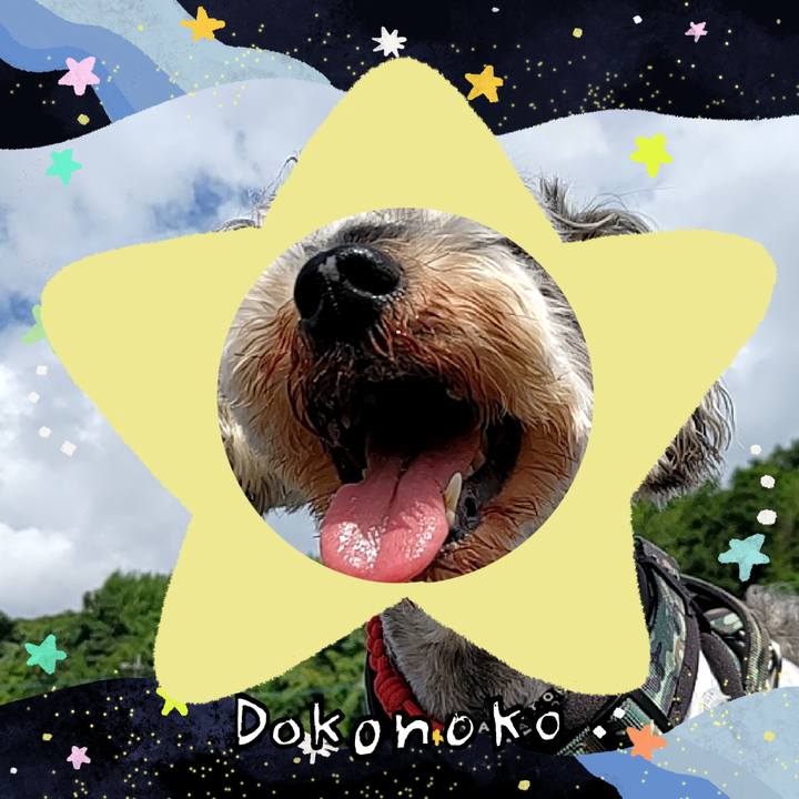 41f1cfa6 8fee 40a9 be34 cd96e0f7a6e0 1720873573405