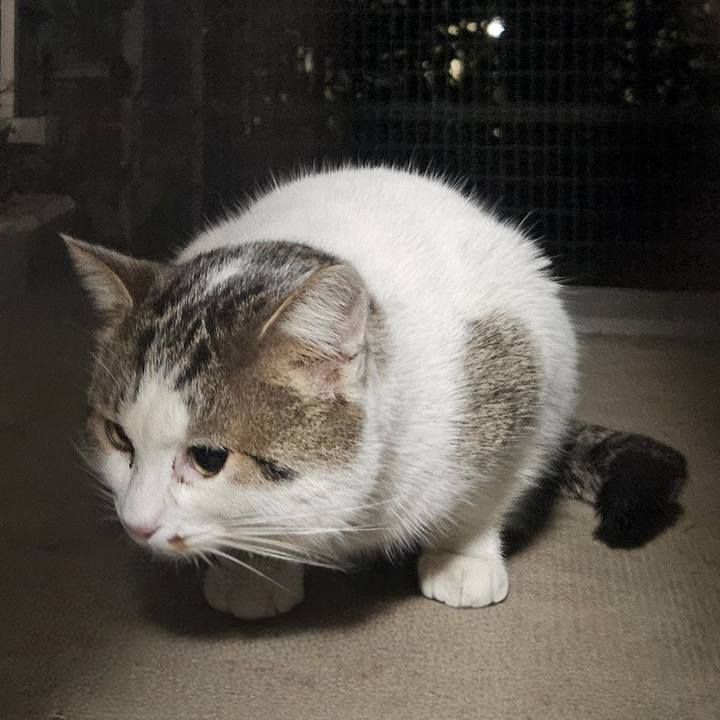 41f1f876 659f 43d9 ae32 fe7fbd97bd98 1735049082583