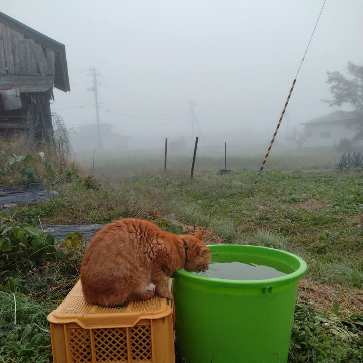 41f22caf 7ce5 4d51 9bba 7fd13e4104a4 1697235884714