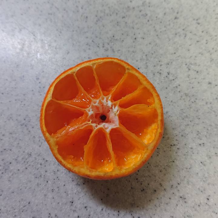 41f22f4f 91b4 484c bbb6 91d9e6bf803c 1610455689780