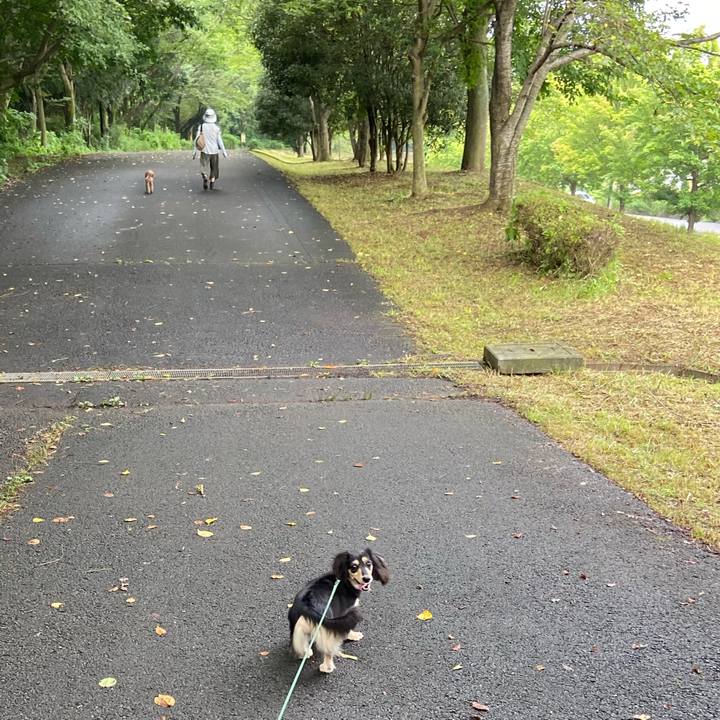 41f236b7 9c28 4bfe 95ef 015c632d56e6 1721263550046