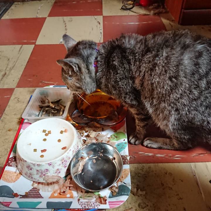 41f25f0e 4515 492f b99b aee2194539c0 1591131108956