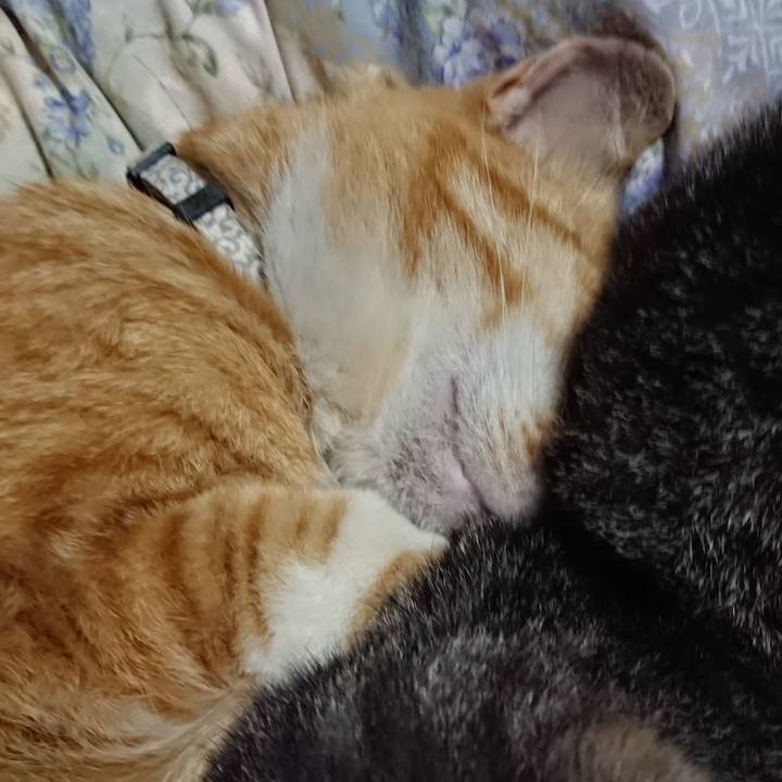 41f2ca7d c194 4bb4 9955 6a309adb4644 1588767631408