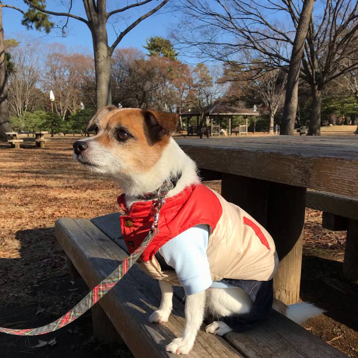 41f2dca7 0dc2 4b5e 98c7 23b0c43ba60e 1544841445679