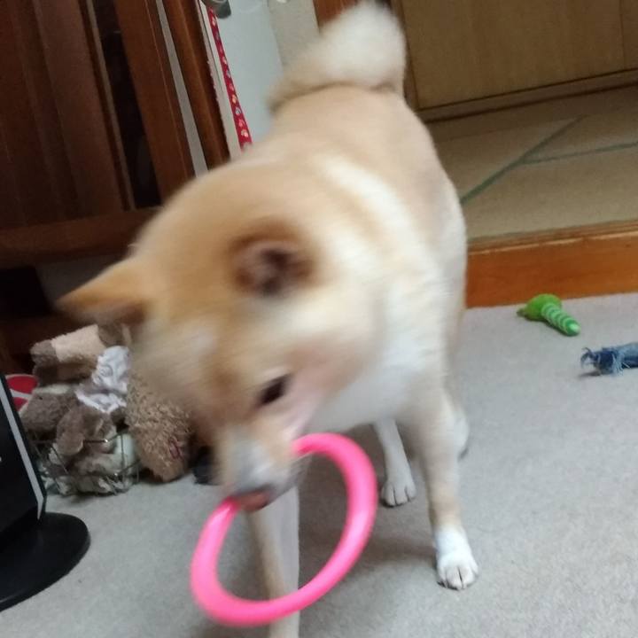 41f2ea03 2657 4bca 8fb4 172436b0b890 1595555444657