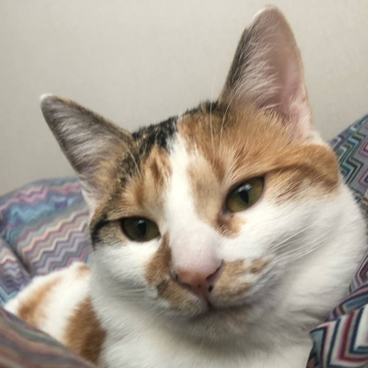 41f2ef18 e76f 4517 b3fb c8b88aca28cc 1581744054539