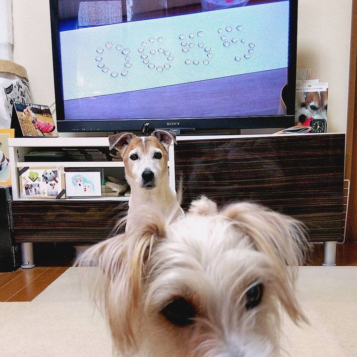 41f31baf dd22 4410 9d6a cf30397b6e6b 1583879408532