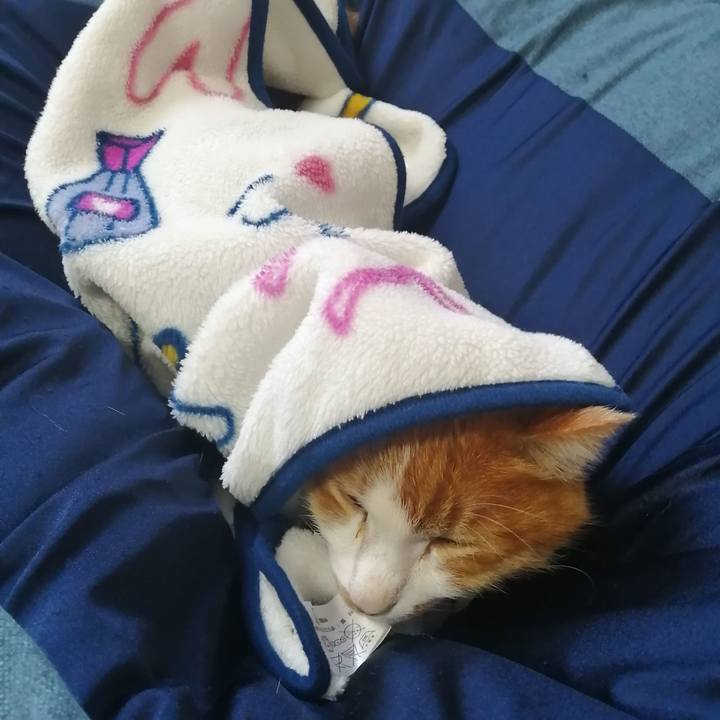 41f34e19 f7f7 4a2a 8c64 b6ce859239bd 1618026605301