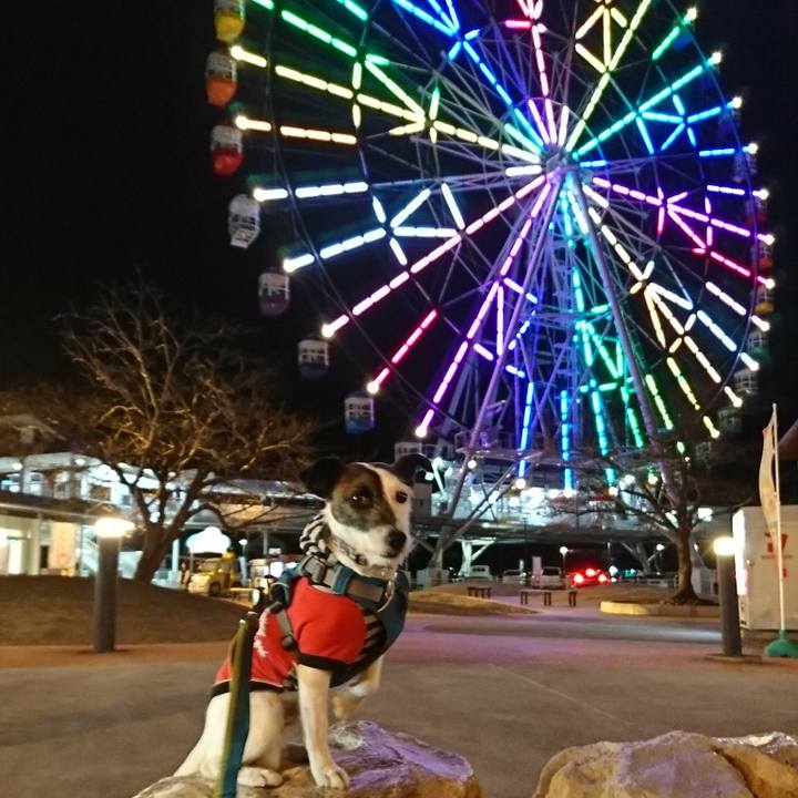 41f34f76 4580 4f95 a312 8020f691821c 1519550660742