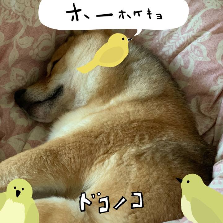 41f36c8a 3569 4c9e b038 e43099c36f7d 1711060441810