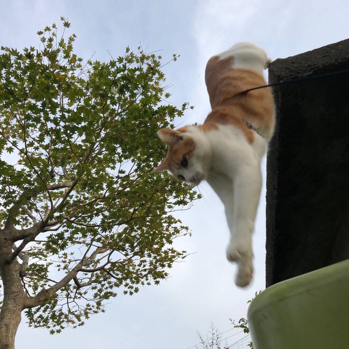 41f36e97 ab23 4252 a3e2 045034febd2a 1539687389143