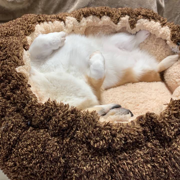 41f377b4 1bfd 42e2 85f1 b32c33cc46c0 1574574052890