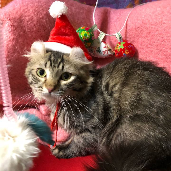 41f3e6d6 3ab0 4220 9b3c 6c198853a8a9 1513672595380