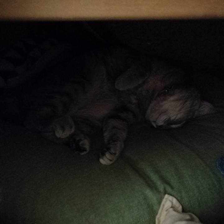 41f427b8 189c 4419 8fc0 6f432d7a4553 1544956174070