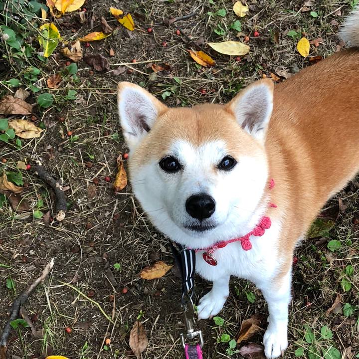 41f44bf4 d1f8 4a24 bd62 078cdd204b94 1540854156077