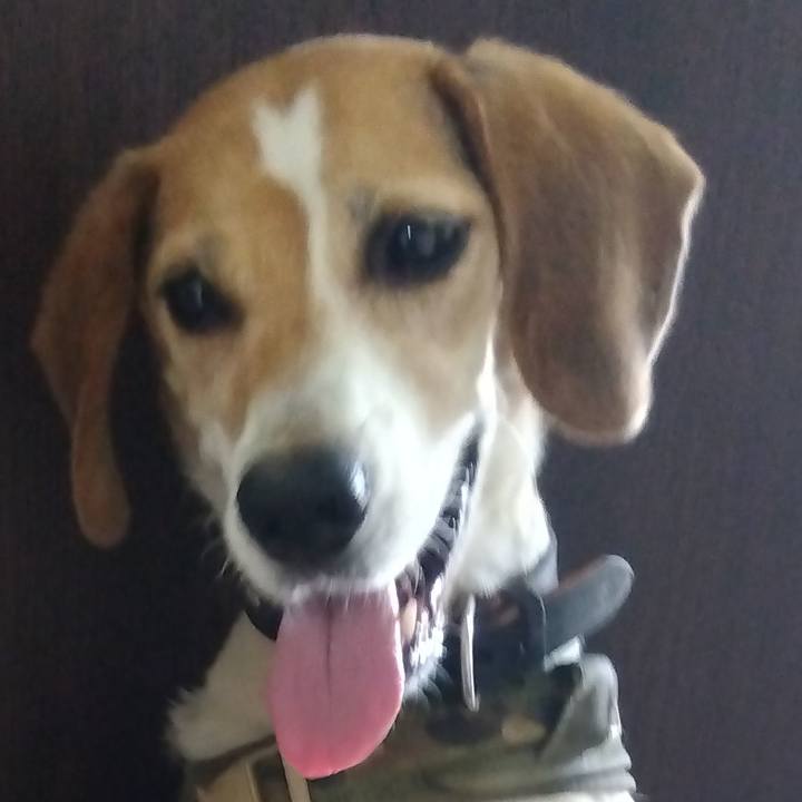 41f47ca5 3619 4c67 8617 3af486a57acf 1692598725636