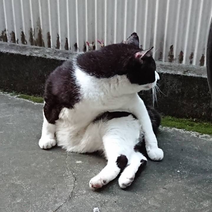 41f50379 9855 4d34 8506 089ec41ac5ec 1630055622440