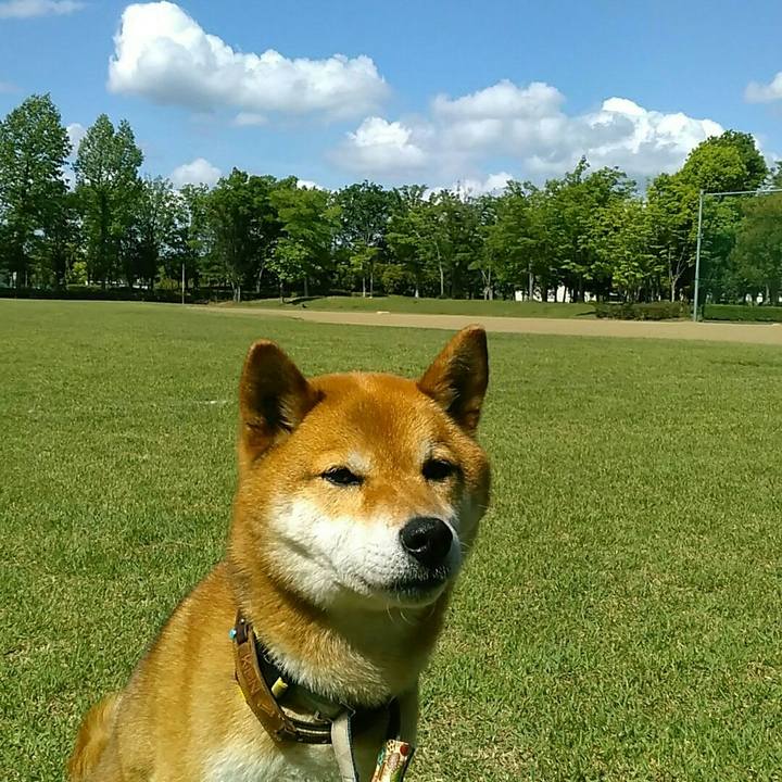 41f506f0 c949 4fb9 8110 2ad07f5d0d67 1557970804576