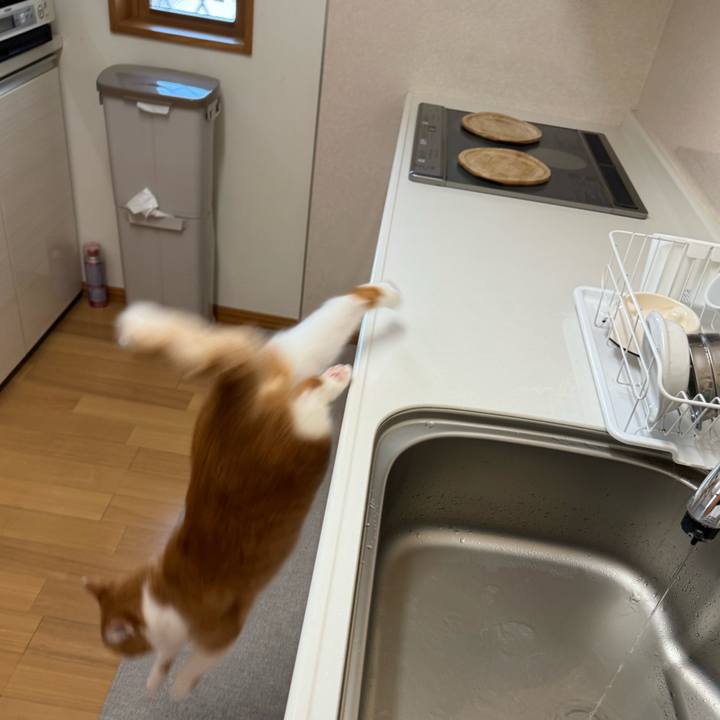 41f50f27 f7e6 45e5 996f af83c3e316fe 1762224547246