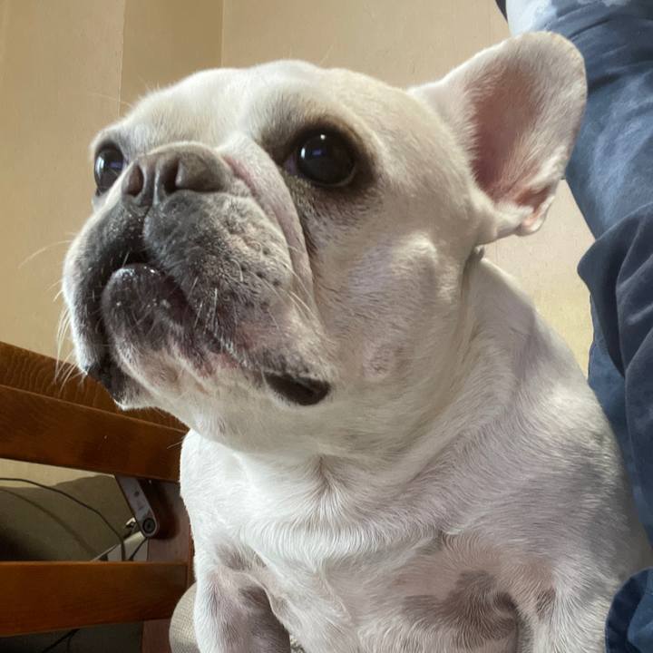 41f50f84 3e12 4aa9 b604 c98aacea6ae0 1729811668478