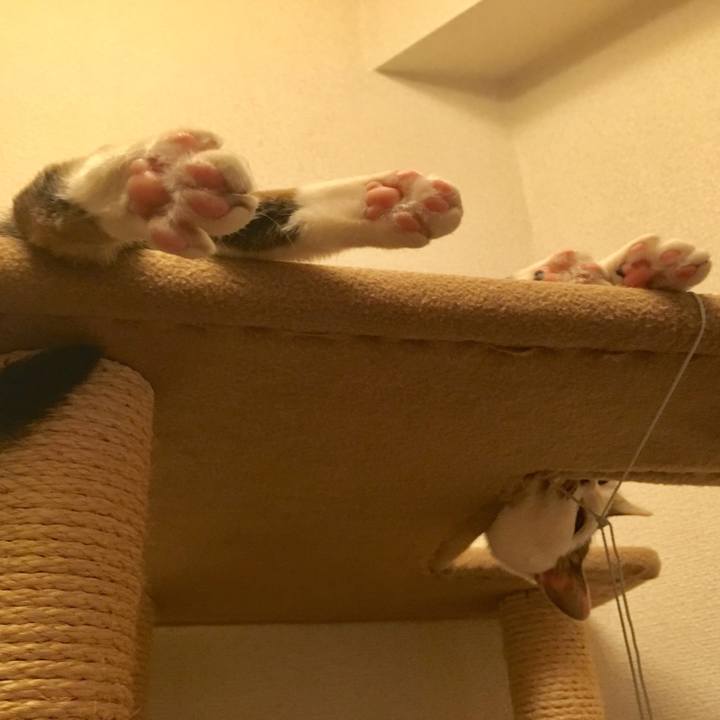 41f54007 47fc 4f2a 9943 3c4fd291ca01 1557673242270