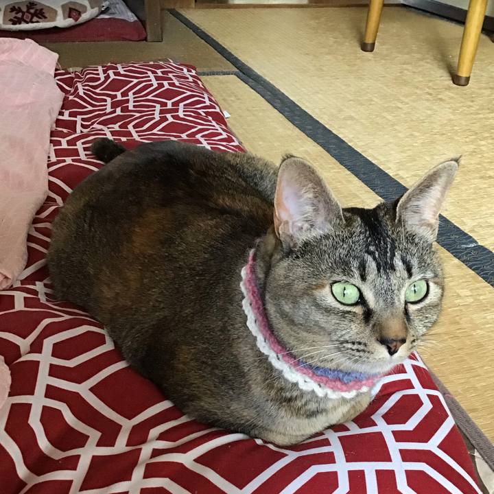 41f54d13 1d40 4d32 a170 e8296d5bf236 1618372960879