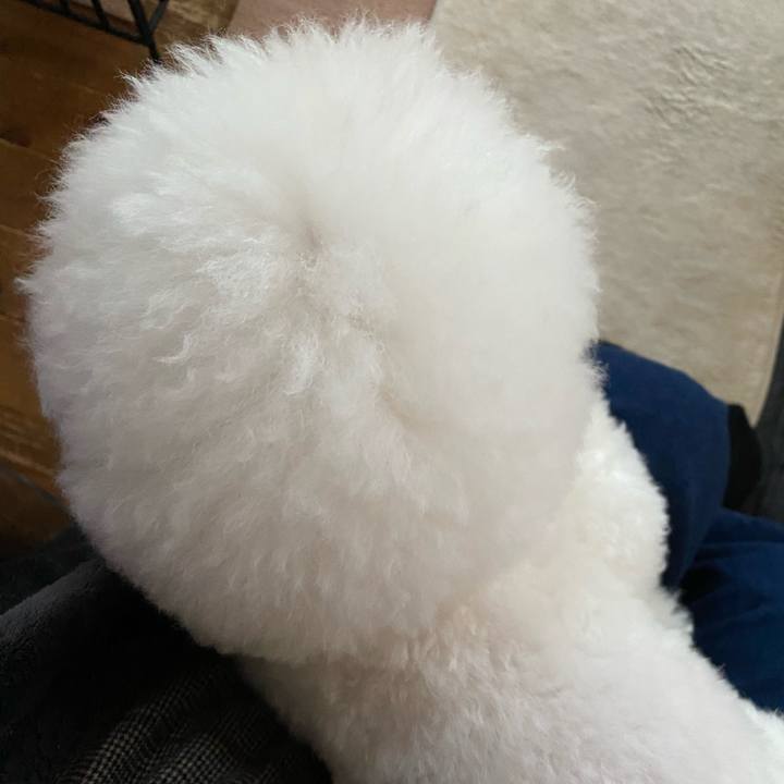 41f553f2 dd0e 4ebb a134 608b086d8f65 1613722085402