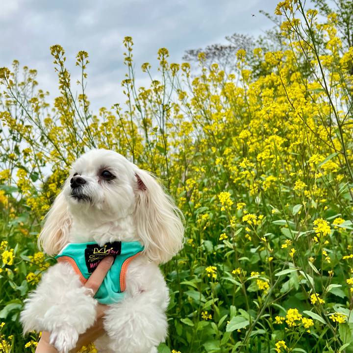 41f572b6 fe1f 4890 8ac5 2bde0d549aec 1650441882374