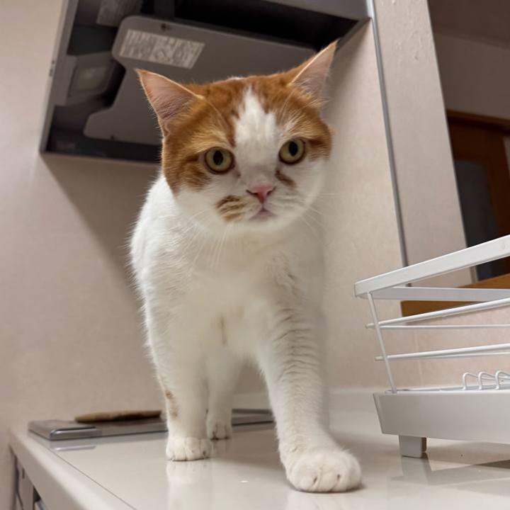 41f573fb 4bfd 48ee abe7 87bdb821ba99 1774841883283