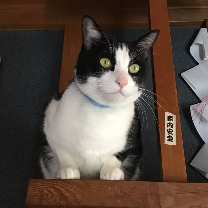 41f588a8 7e99 4439 a255 2fa391ce4481 1739069358636