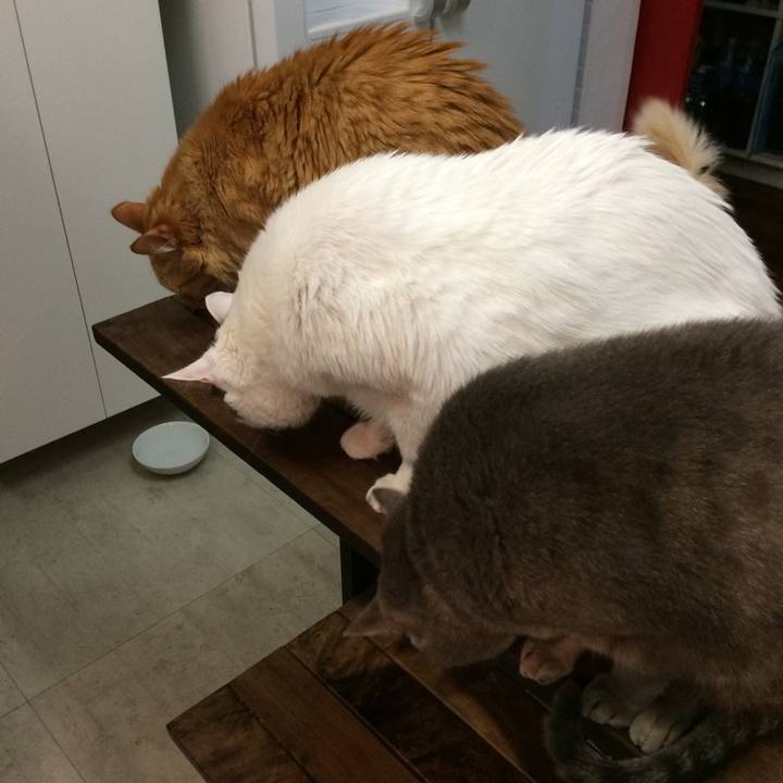 41f58c5e 9a1d 411d 98d9 f5c2de6429be 1516822096094