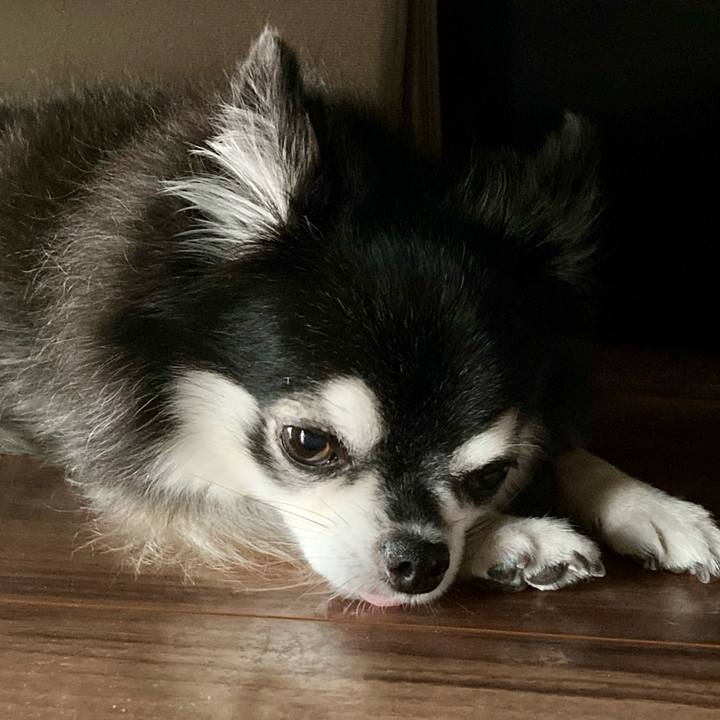 41f5cfb0 4b6a 4b3c aed7 19eac62f0e61 1772948959210