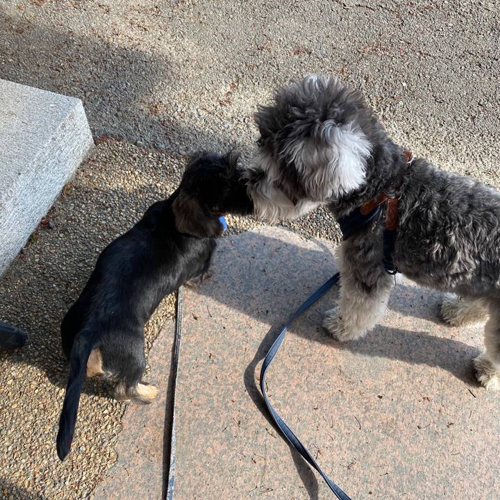 41f61811 ac5e 4efb b80a 1423e7508ded 1588418969509