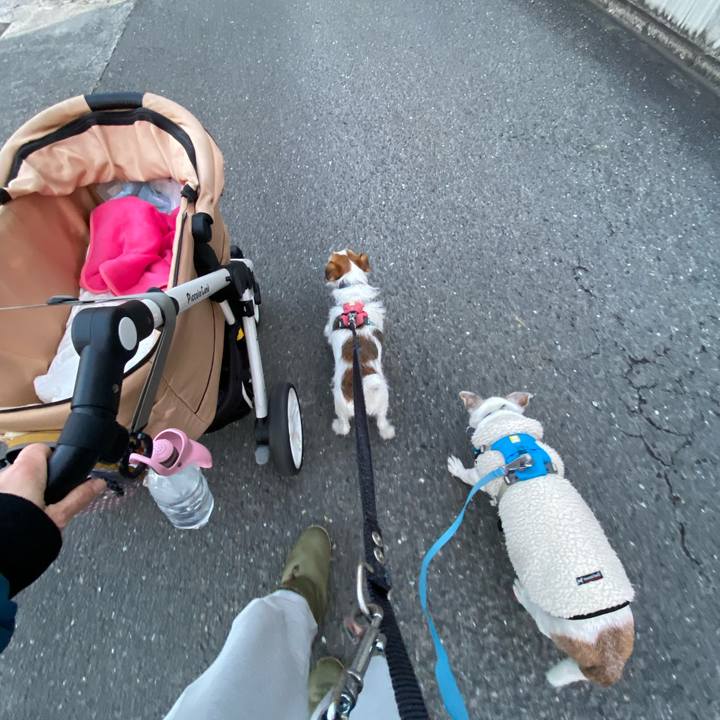 41f63e1c dbc4 450c bc1d e5c64c0fc22d 1734473935411