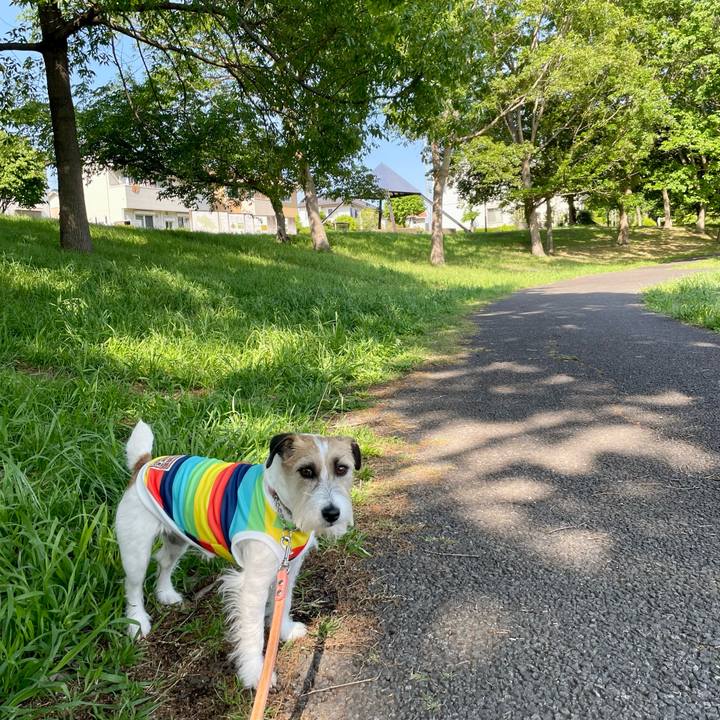 41f677c3 647e 42b3 8458 857e05141667 1682923756795