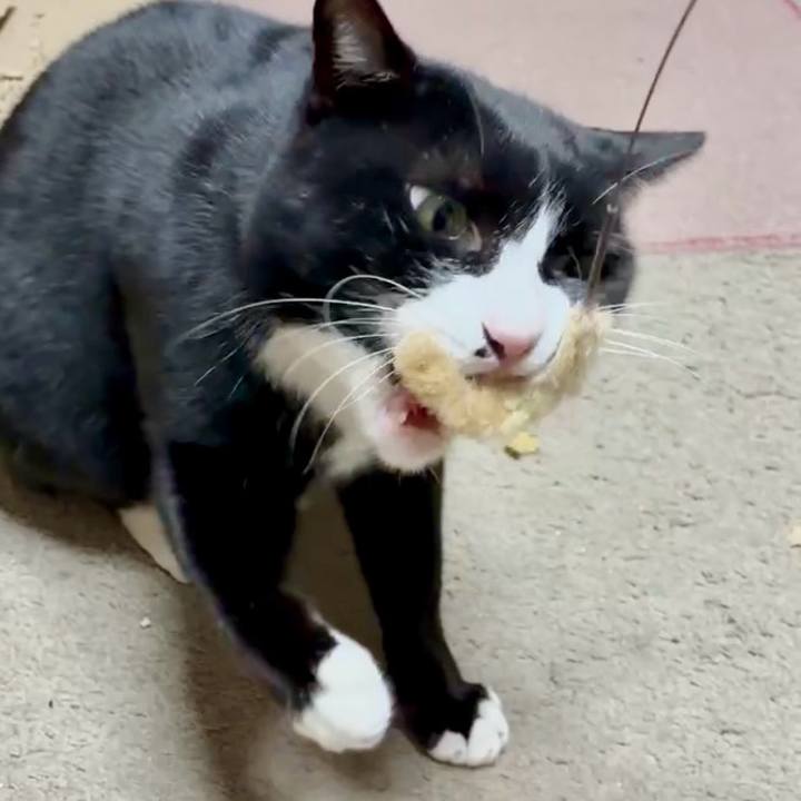 41f6a17e 4400 4c85 b65a 6838781e00c7 1768223279787