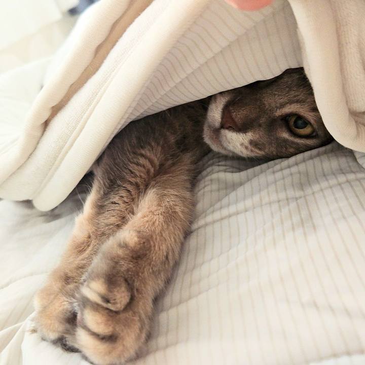 41f6c8d3 b0ba 4a1e ac63 273055bde2e6 1725498148225