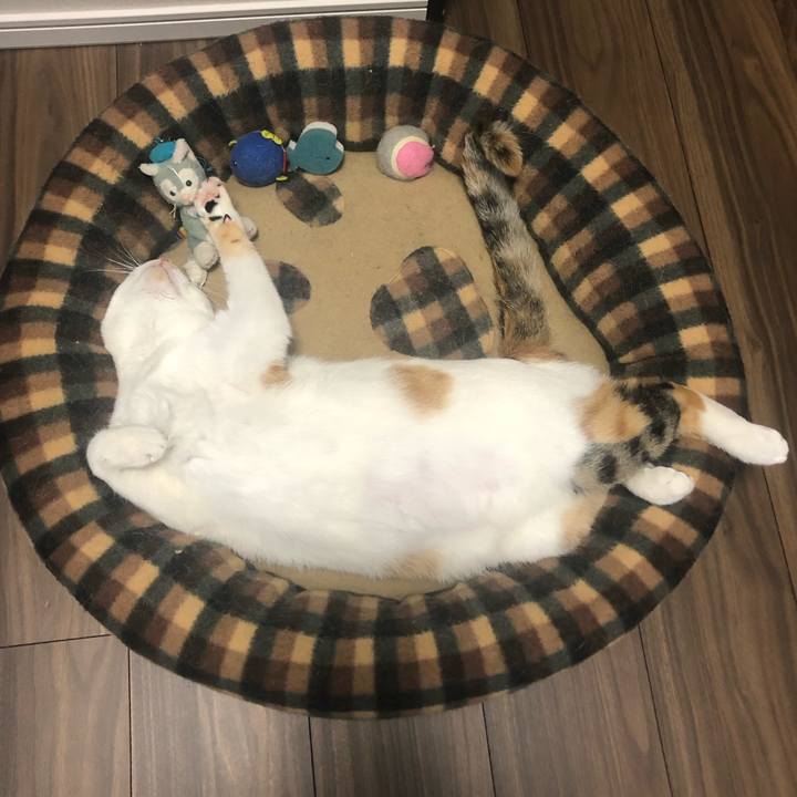 41f6ccad 59d8 45a6 b06c ccbaf81bc4b5 1588744491588