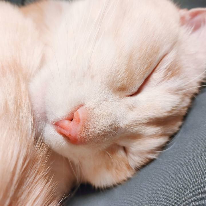 41f70043 a25b 4637 b30b 5bf19825065d 1677673355792