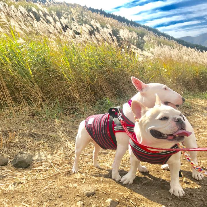 41f70768 e978 4738 8df8 6cd6311b8bc6 1541504930992