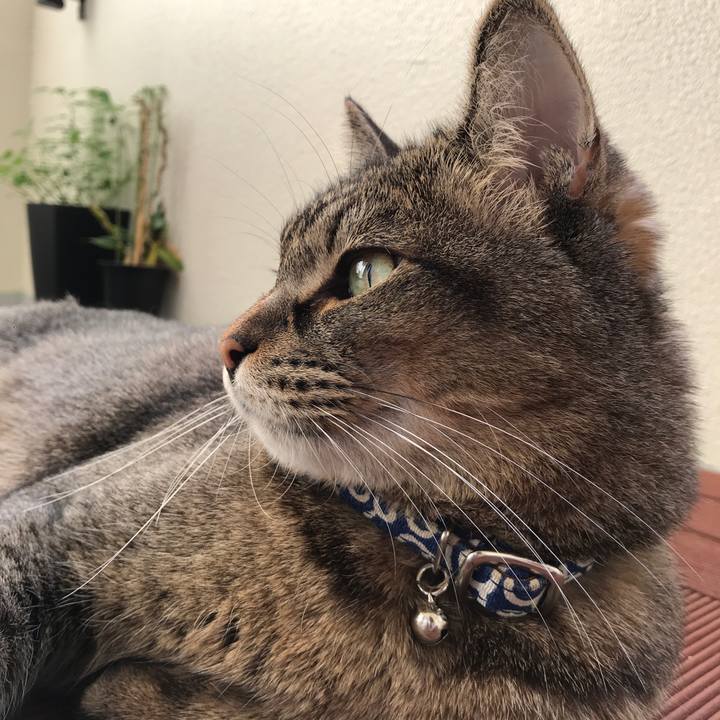 41f71b5a f69b 4e2f ae2a 0504e8cd535b 1572691955729