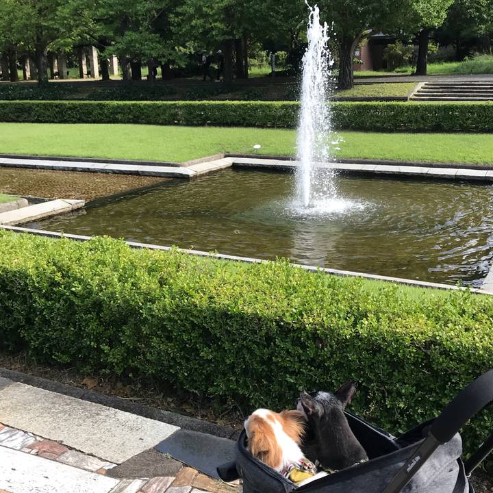 41f754cd 8173 4a30 9b50 cea4be5c864a 1568551794124