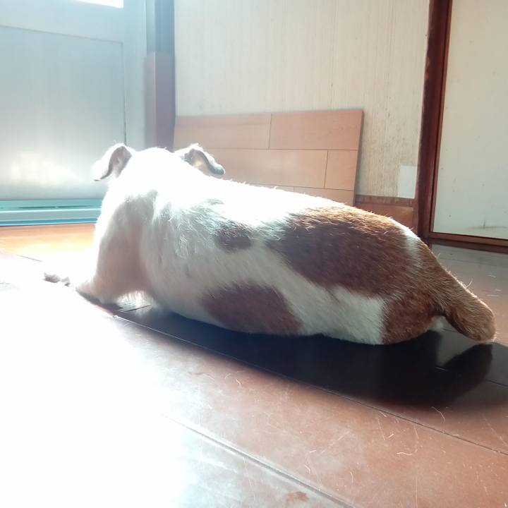 41f78382 f5d6 49d4 9836 029e4605bec1 1571835368762