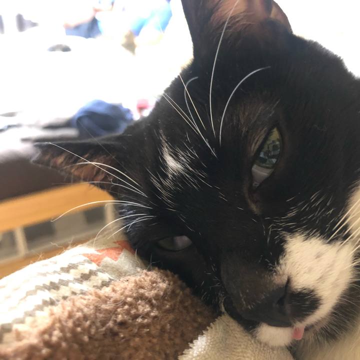 41f7b223 ce36 4cd7 b617 b93cbfe88637 1598622527789