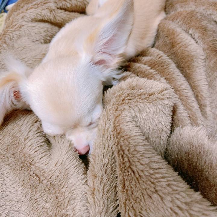 41f7b62d 7627 4f71 a588 b7be9e7c572a 1595044583953