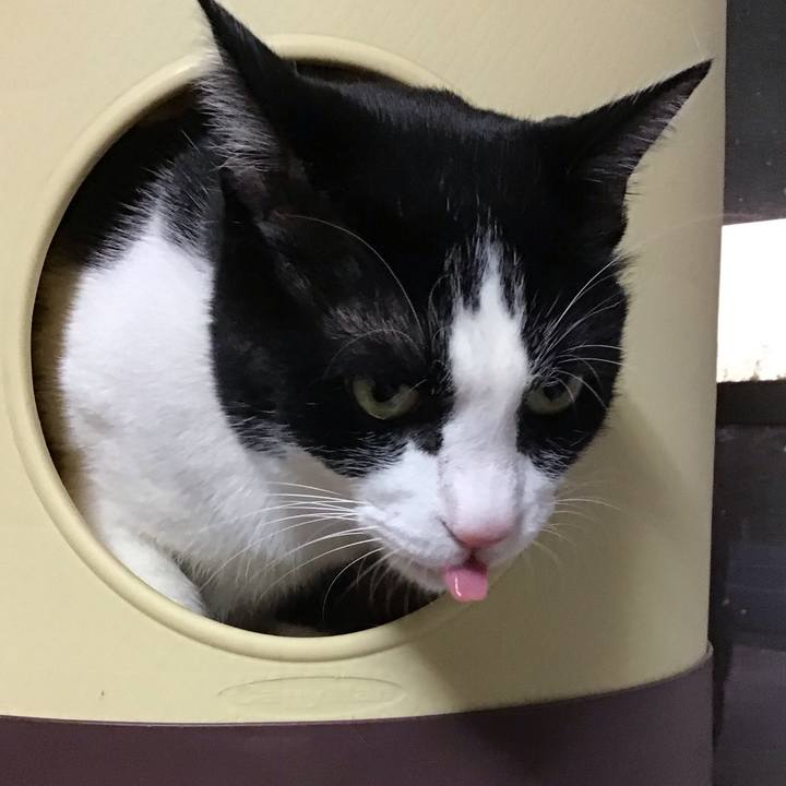 41f7d10d 5b5d 4915 b079 da1ff7bb5976 1734339000320