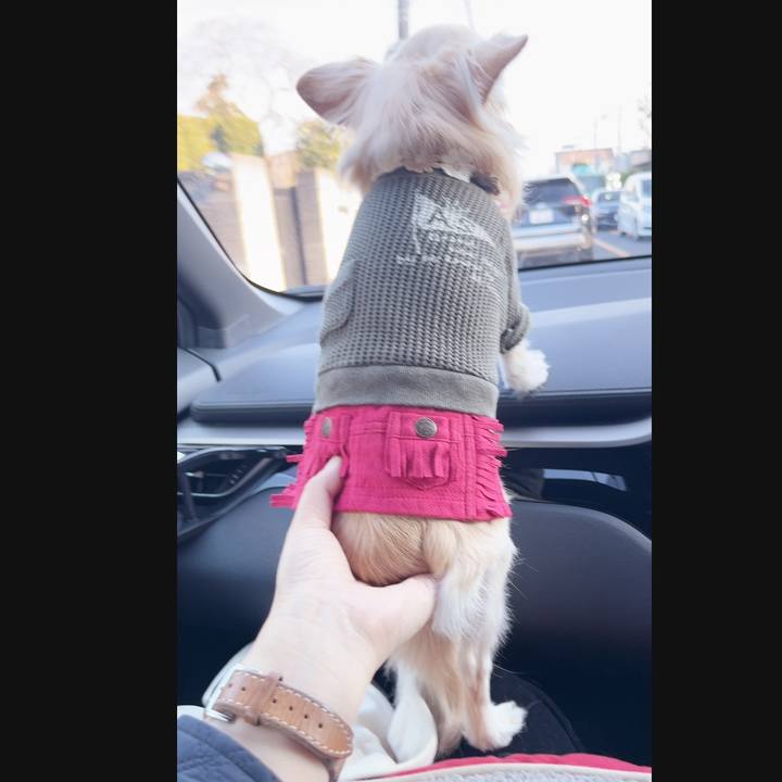 41f81c35 fbba 4738 9955 edf54e0dc00f 1737790864310