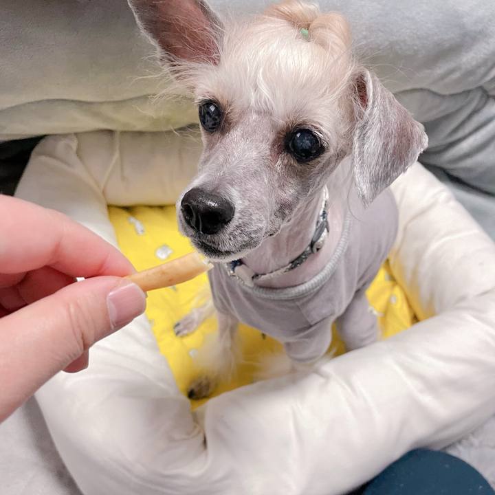 41f8bb28 79e0 4ef5 bde6 716ee23a8dd5 1772270131319